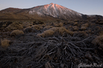 teide photo